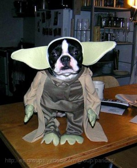 Yoda