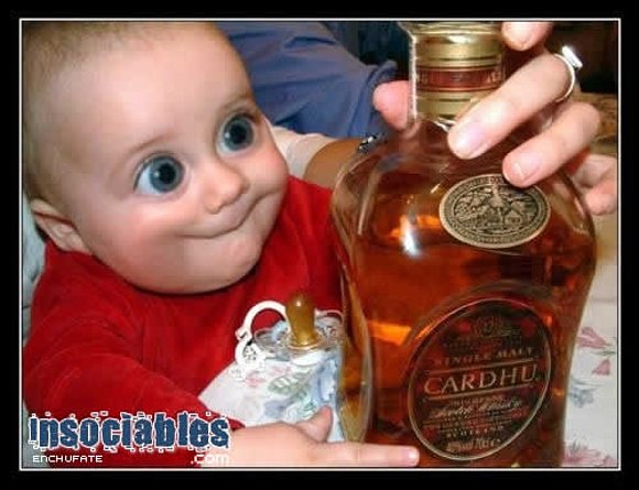 borrachin XD