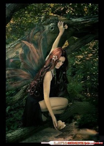 naturaleza