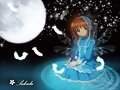 Sakura Night