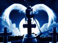 Dnn-Angel