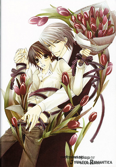 usagi akihiko Y mizaki takahashi