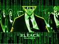 bleach reloaded