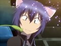 funny ikuto