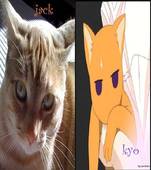 jack