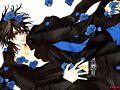 Kaname Kuran                   &gt;Vampire Knight&lt;