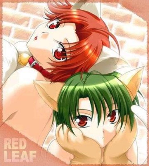 neko ryoma y neko eiji