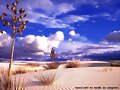 paisajes  desierto