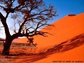 paisajes  desierto