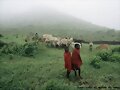 kenia