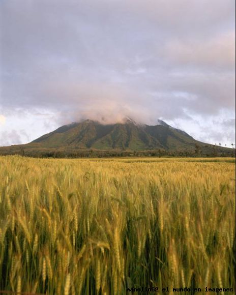 ruanda