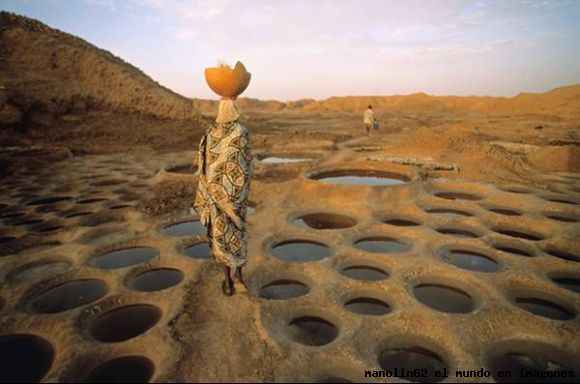 niger