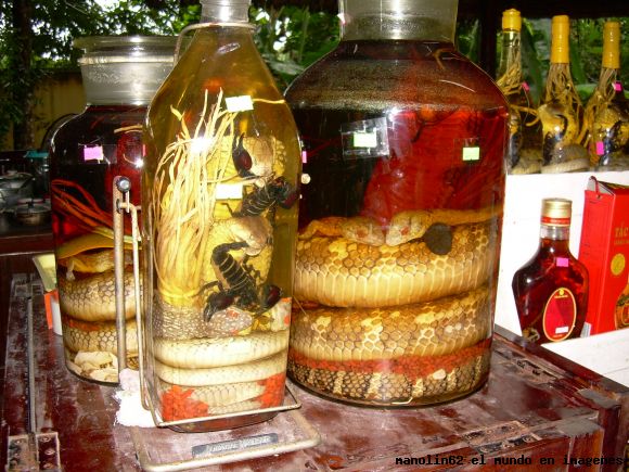 Vietnam