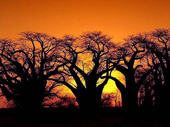 botswana
