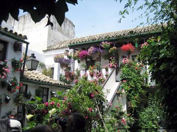 patio cordobes cordoba españa