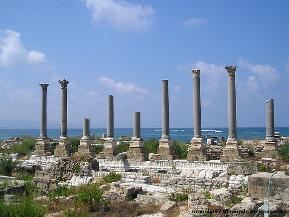 RUINAS DE TIRO EL LIBANO