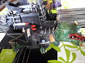 garrapato 2