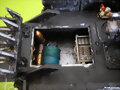 garrapato 3