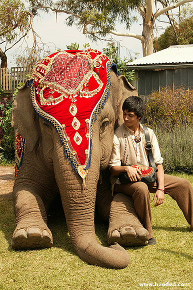Otra foto de la Princesa Elefante