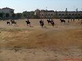 fiestas de san roque