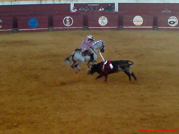rejoneo