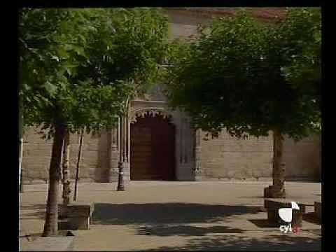 Macotera