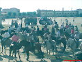 caballistas