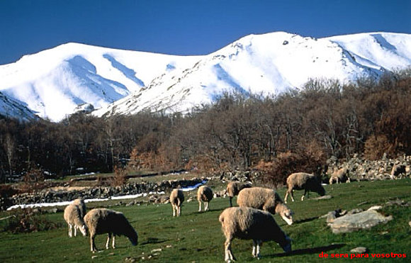sierra de gredos