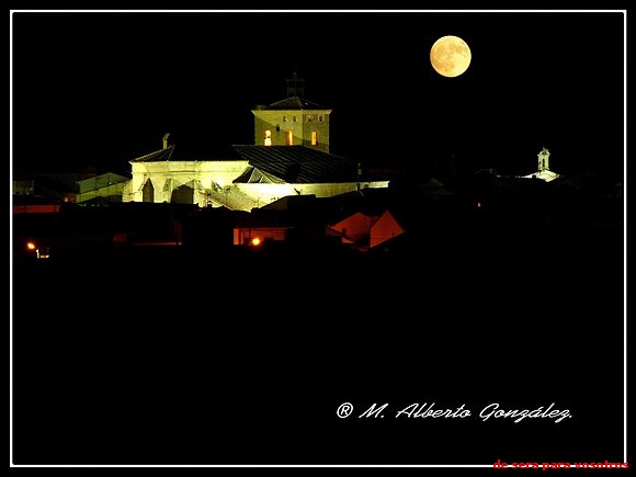 macotera nocturna