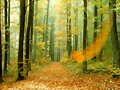 oto&ntilde;o