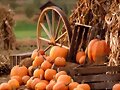 rueda y calabazas