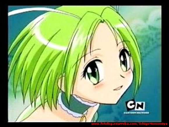 Lettuce Midorikawa