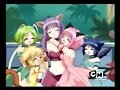 Equipo Mew Mew