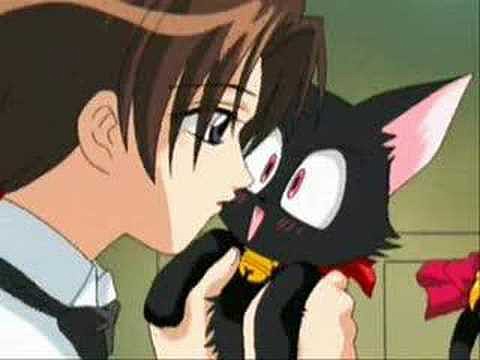 Mew mew power- every time we touch