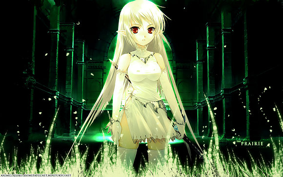 Elfo Anime¡!