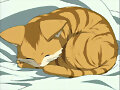 Nnnnnnnnnnneeeekkkooo&iexcl;! &hearts;_&hearts;