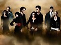 Los Cullen