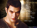Emmett