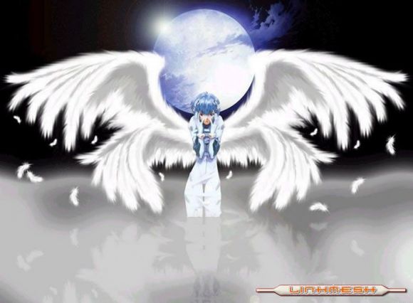 REI AYANAMI otro angel de evangelio