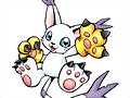 Gatomon