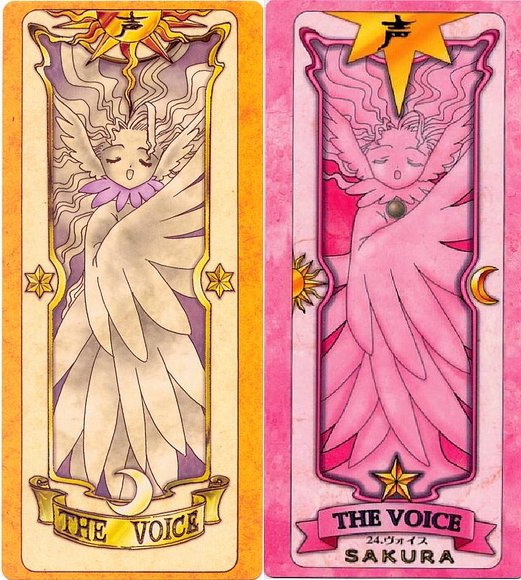 声 = The Voice = La Voz