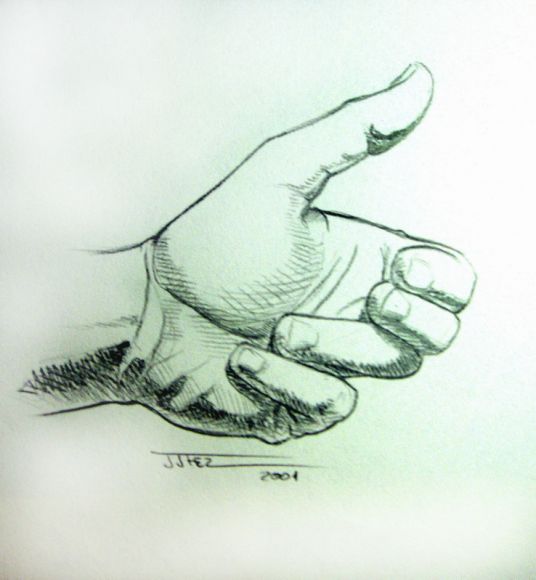 LA EVOLUCIÓN DE LA MANO