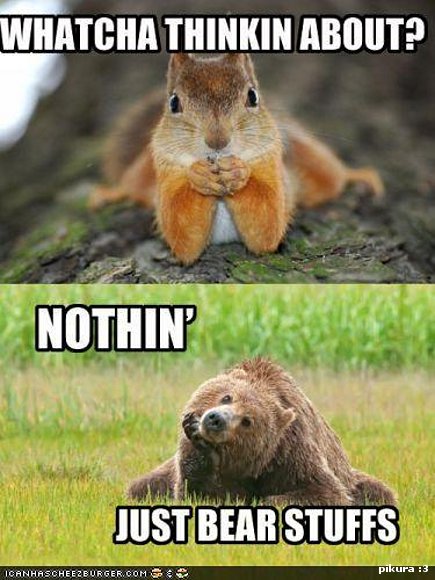 just bear things...