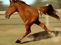 CORRE CORRE