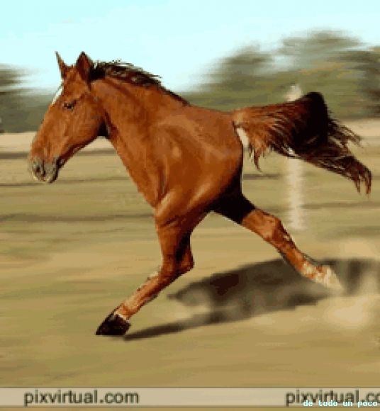 CORRE CORRE