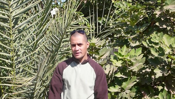 egypt.2011