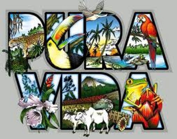 Pura Vida