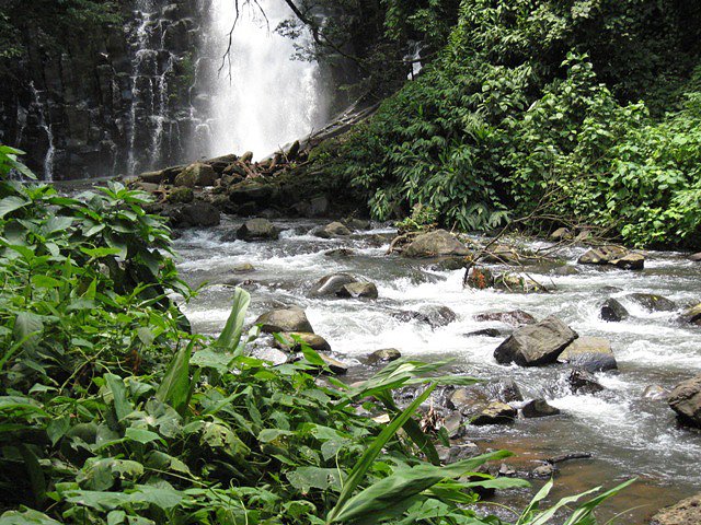 Catarata
