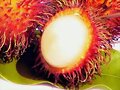 Rambut&aacute;n