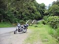 Alvarado